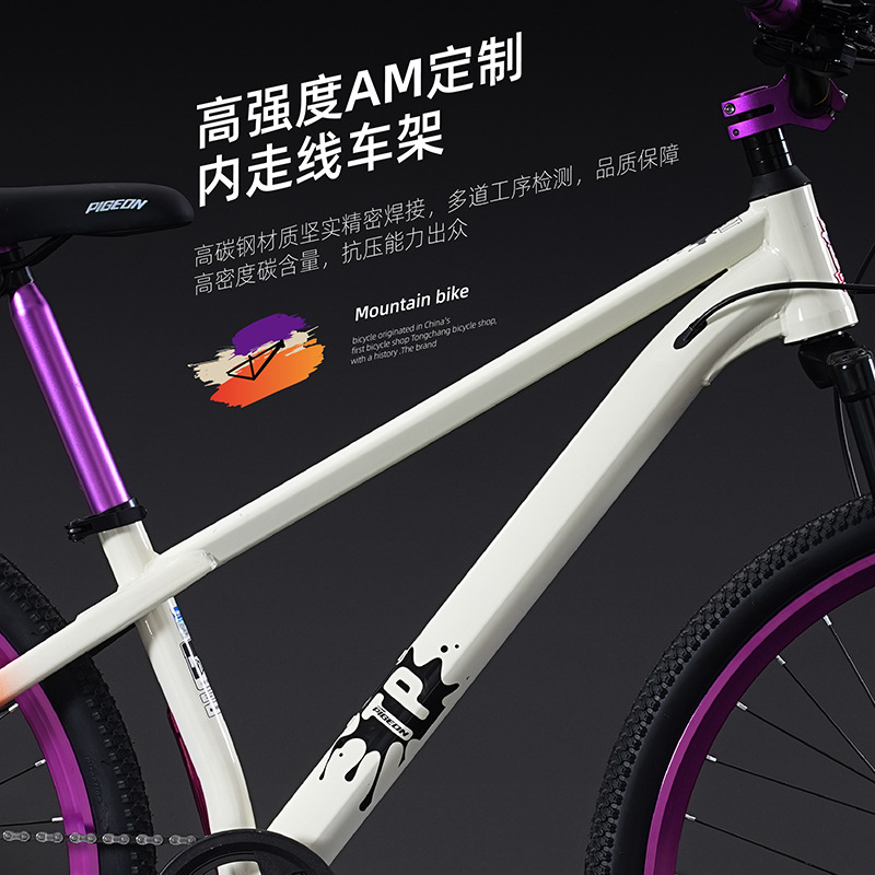 Rower górski młodzieżowy i dla – Mountain Biking Youth recenzja i cena